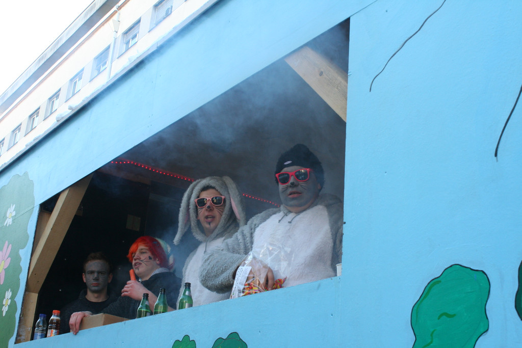 IMG_2991_JPG-1360687180