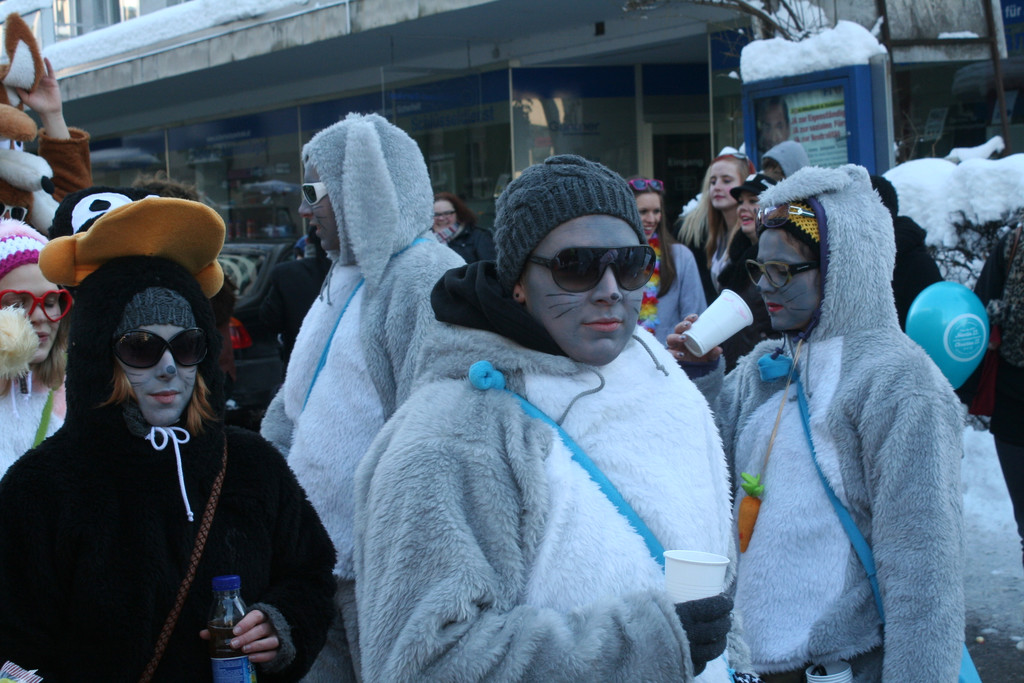 IMG_2994_JPG-1360687220