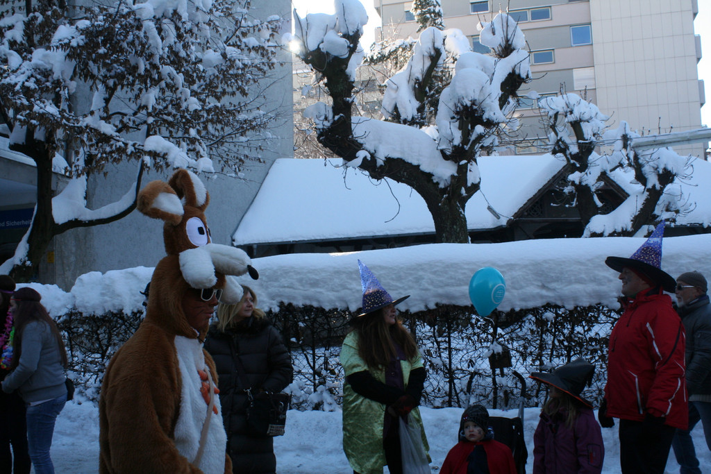 IMG_2996_JPG-1360687246