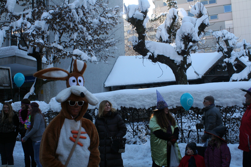 IMG_2997_JPG-1360687263