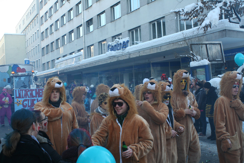 IMG_3008_JPG-1360687405