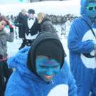 IMG_3013_JPG-1360687458