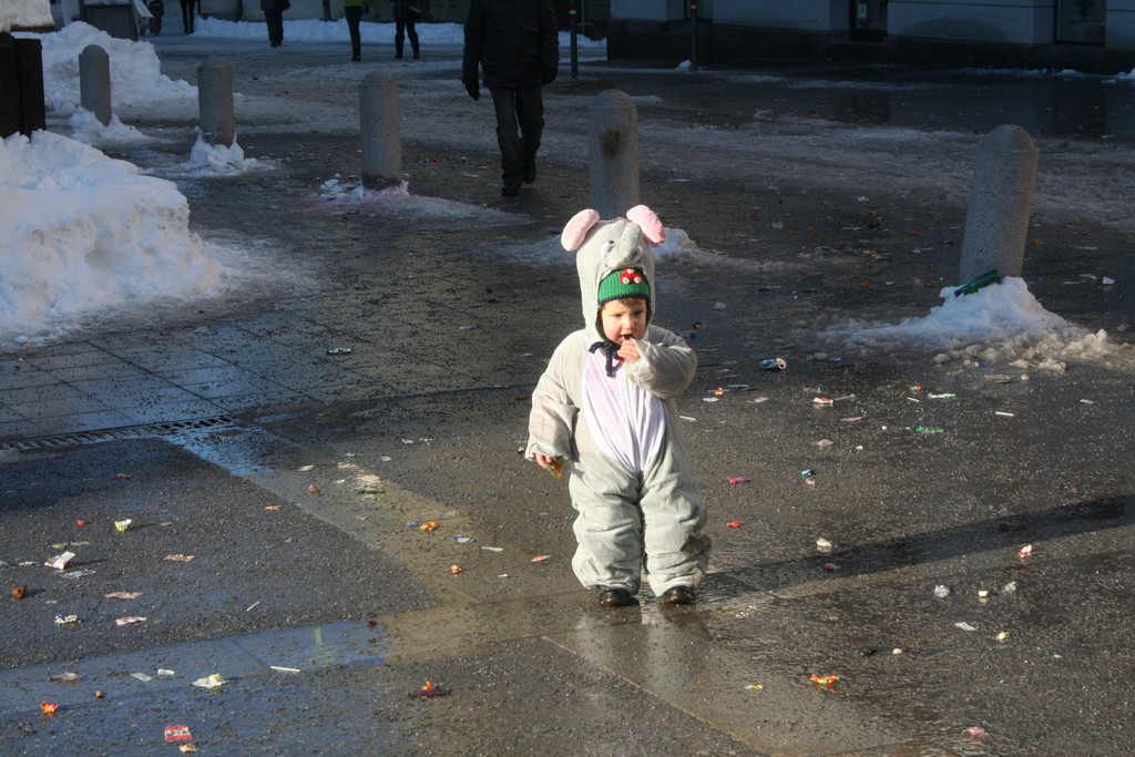 IMG_3018_JPG-1360687527