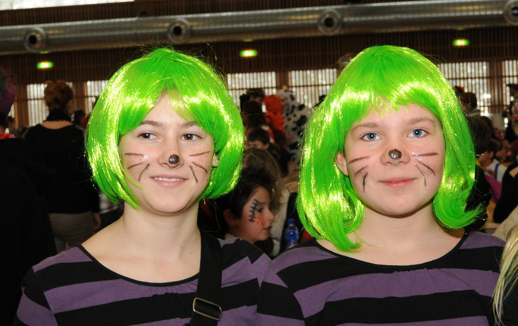 Kinderfasching H__chst 12-02-2013 72_jpg-1360691281