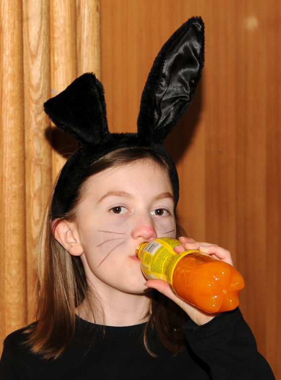 Kinderfasching H__chst 12-02-2013 186_jpg-1360691876