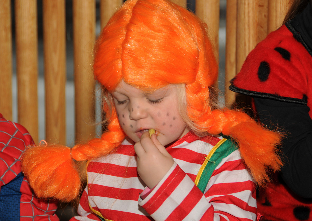 Kinderfasching H__chst 12-02-2013 199_jpg-1360691942