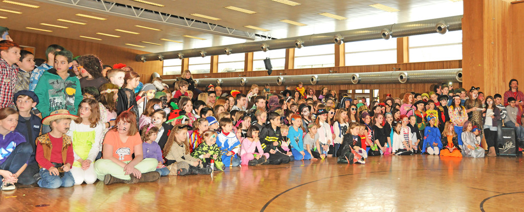 Kinderfasching H__chst 12-02-2013 kl 34_jpg-1360691998