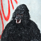 DSC_8417.JPG