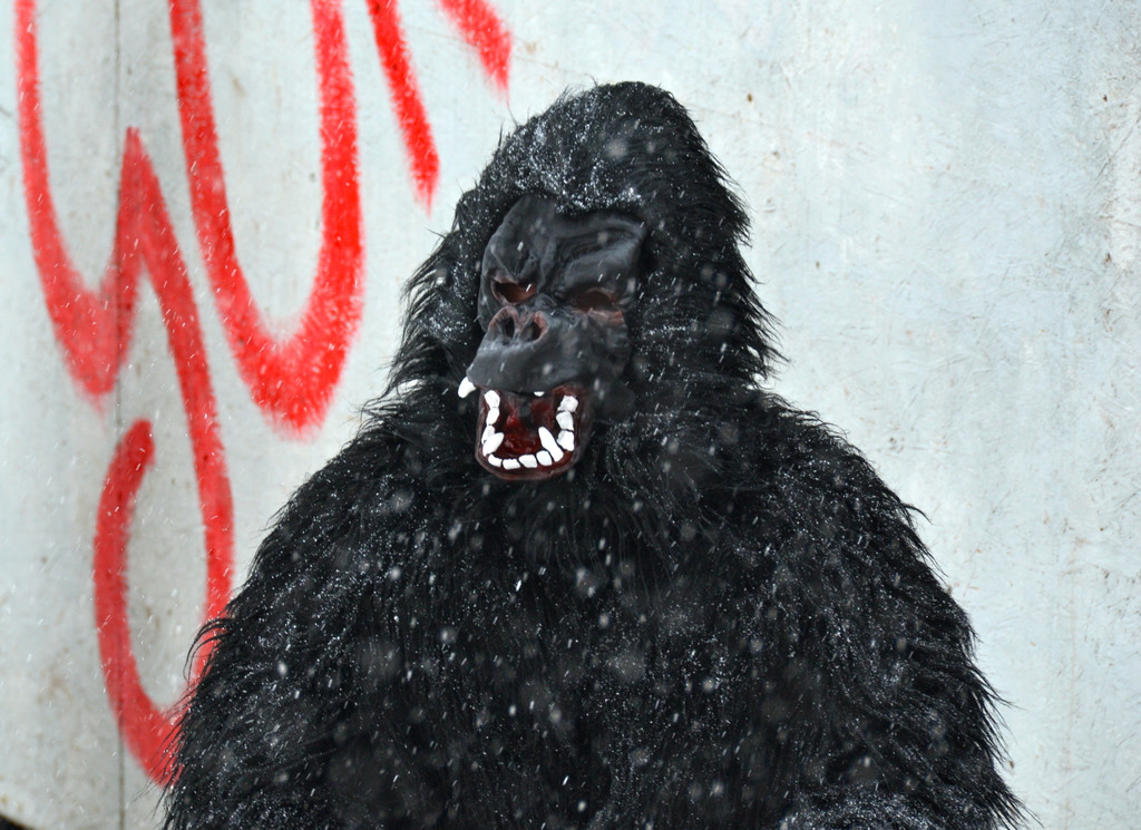 DSC_8417.JPG