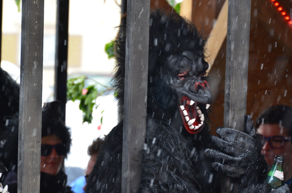 DSC_8420.JPG