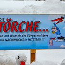 DSC_8424.JPG