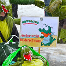 DSC_8460.JPG