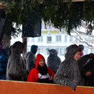 DSC_8499.JPG