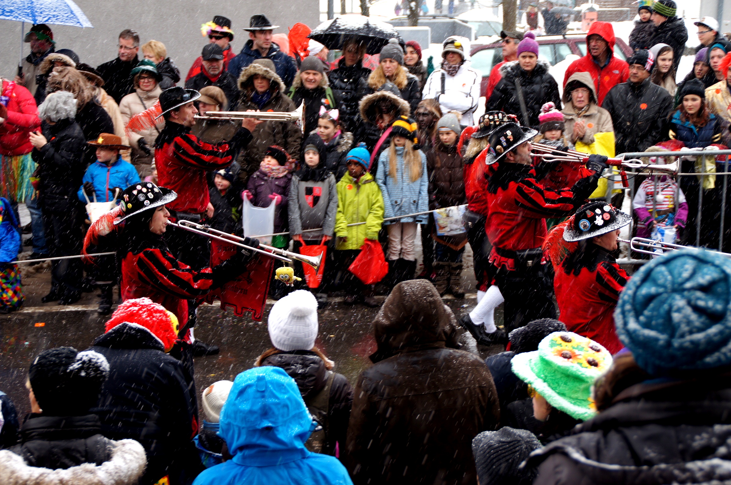 DSC02661_JPG-1360740599