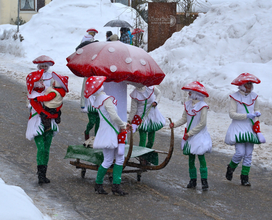 DSC_8479_JPG-1360746254