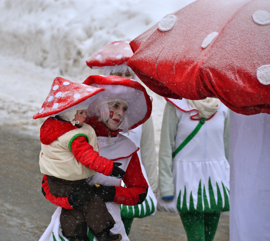 DSC_8481_JPG-1360746286