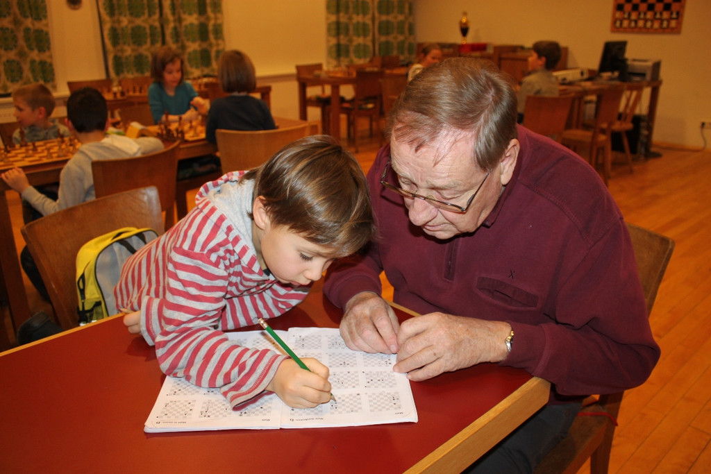 Schach Nachwuchskurs KLEIN 2013 _3__jpg-1360750695