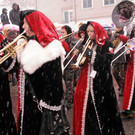12616477.jpg