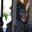 DSC_8420.jpg