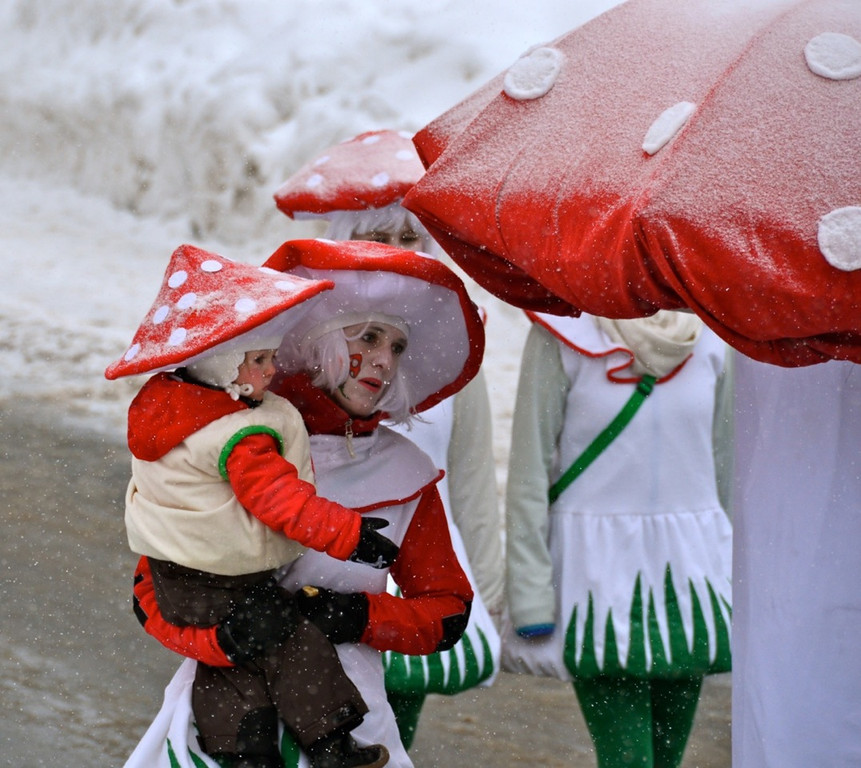 DSC_8481_2.jpg