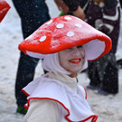 DSC_8483.jpg
