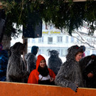 DSC_8499.jpg