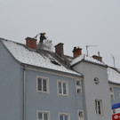 DSC_0015.JPG