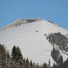 IMG_0497_1.jpg