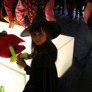 IMG_3291_JPG-1360776961