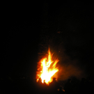 PC220045.JPG