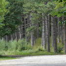 DAB2140-20100807.jpg