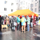 One Billion Rising in Bregenz