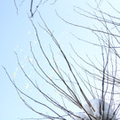 IMG_9600.JPG