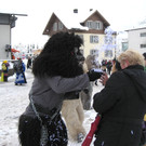 2013-02-09_0094_bearbeitet-1_jpg-1360846711