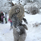 2013-02-09_0105_bearbeitet-1_jpg-1360847006