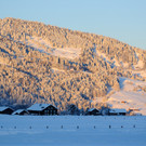 DSC_1158-1.jpg