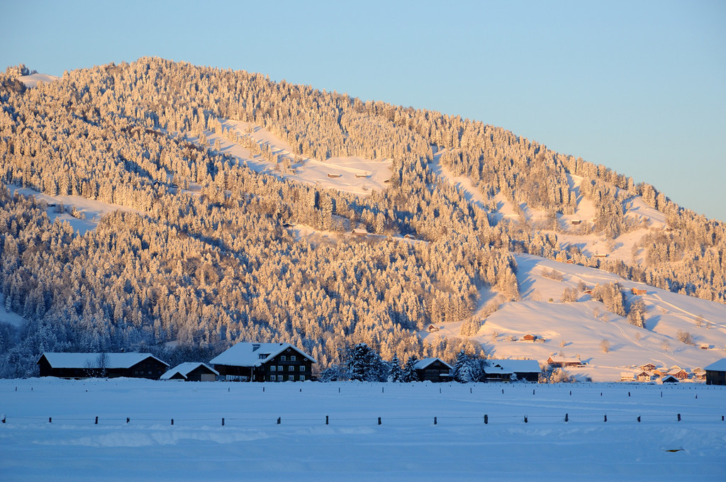 DSC_1158-1.jpg