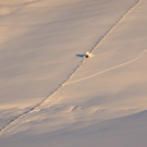 DSC_1182-1.jpg