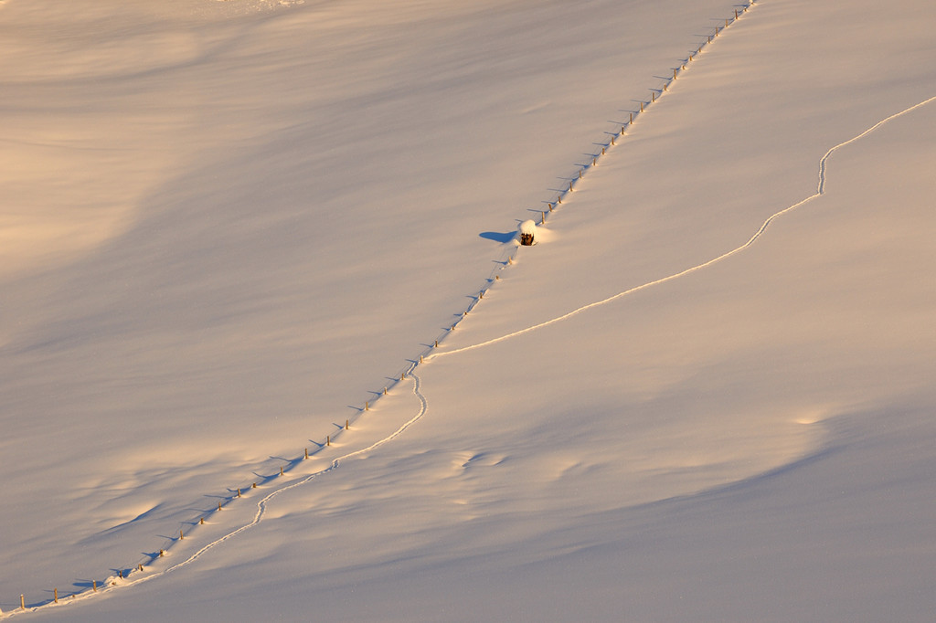 DSC_1182-1.jpg