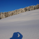DSC_1220-1.jpg