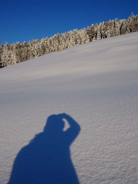 DSC_1220-1.jpg
