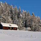 DSC_1235-1.jpg