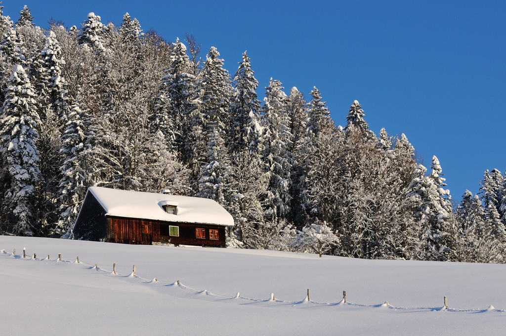 DSC_1235-1.jpg
