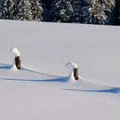 DSC_1243-1.jpg