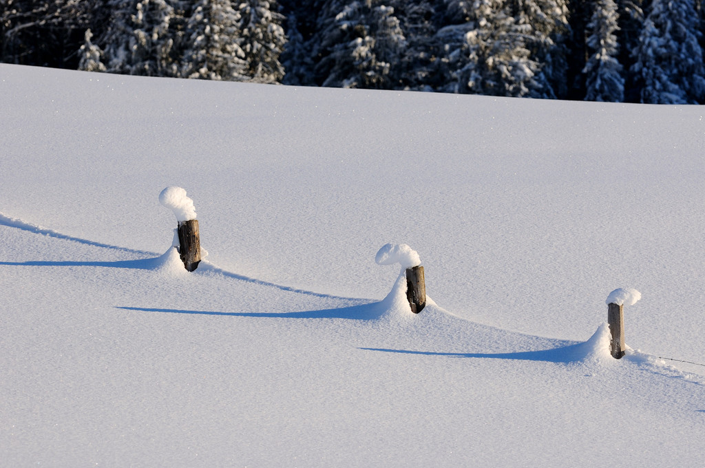 DSC_1243-1.jpg
