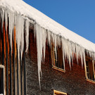 DSC_1259-1.jpg