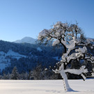 DSC_1299-1.jpg