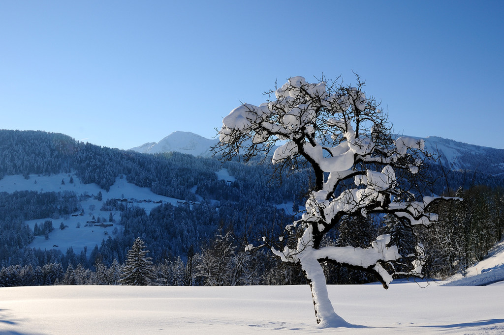 DSC_1299-1.jpg
