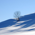 DSC_1351-1.jpg