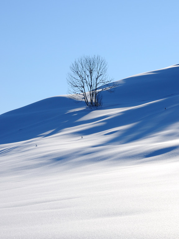 DSC_1351-1.jpg